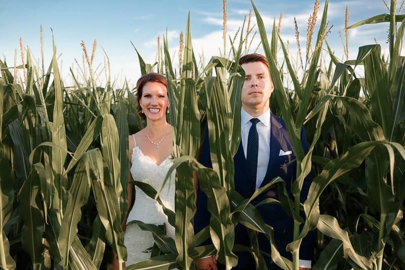 couple in a corn field