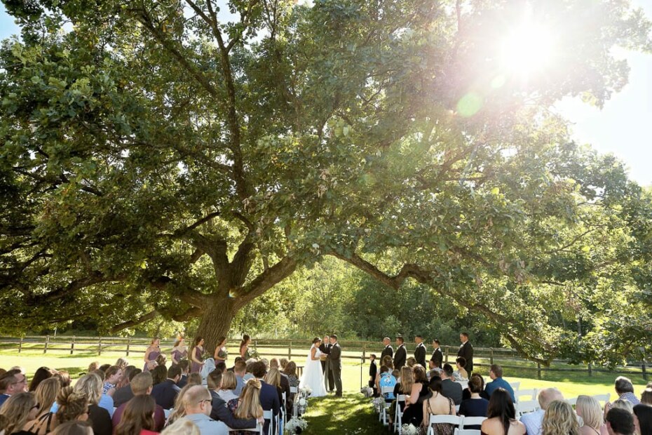 view of the outdoor ceremony site at the mayowood stone barn with oak tree, sun
