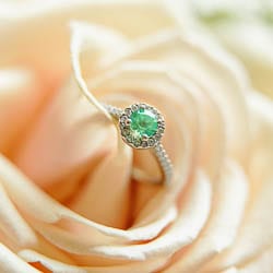 complete contract green ring on pink rose