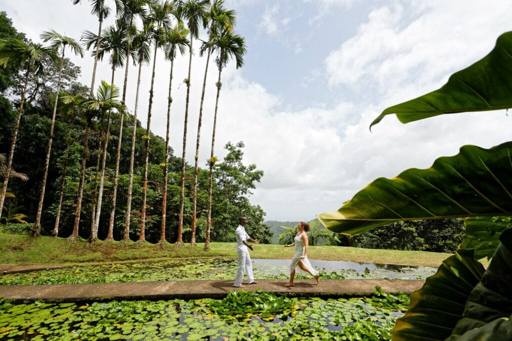 trash the dress in tropical jungle