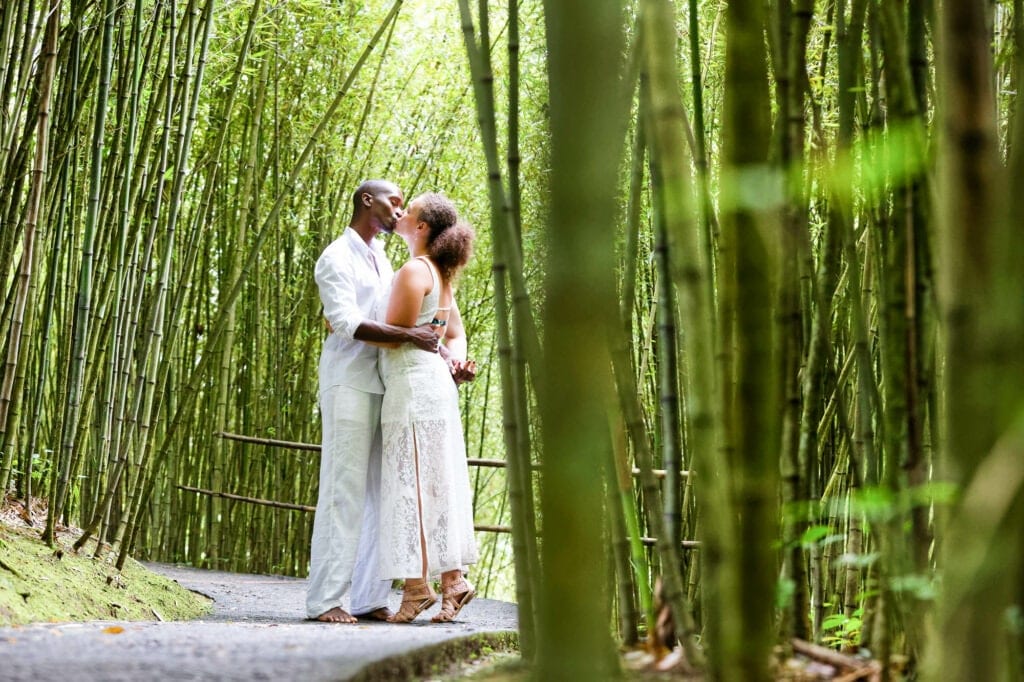 love in bamboo groves