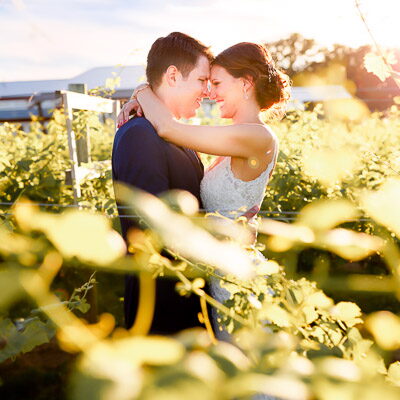 Romantic Vineyard Wedding Photos at Four Daughters Winery