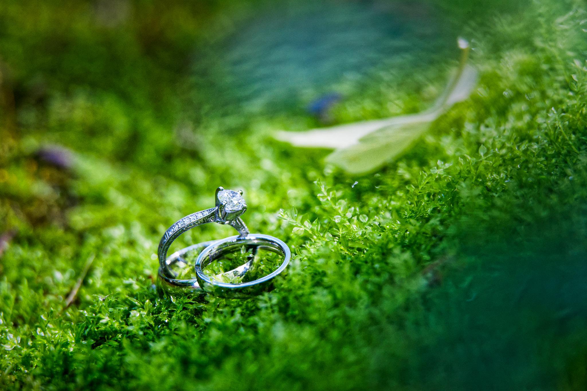 Wedding Rings on Green Moss - Bridal Preparation Detail