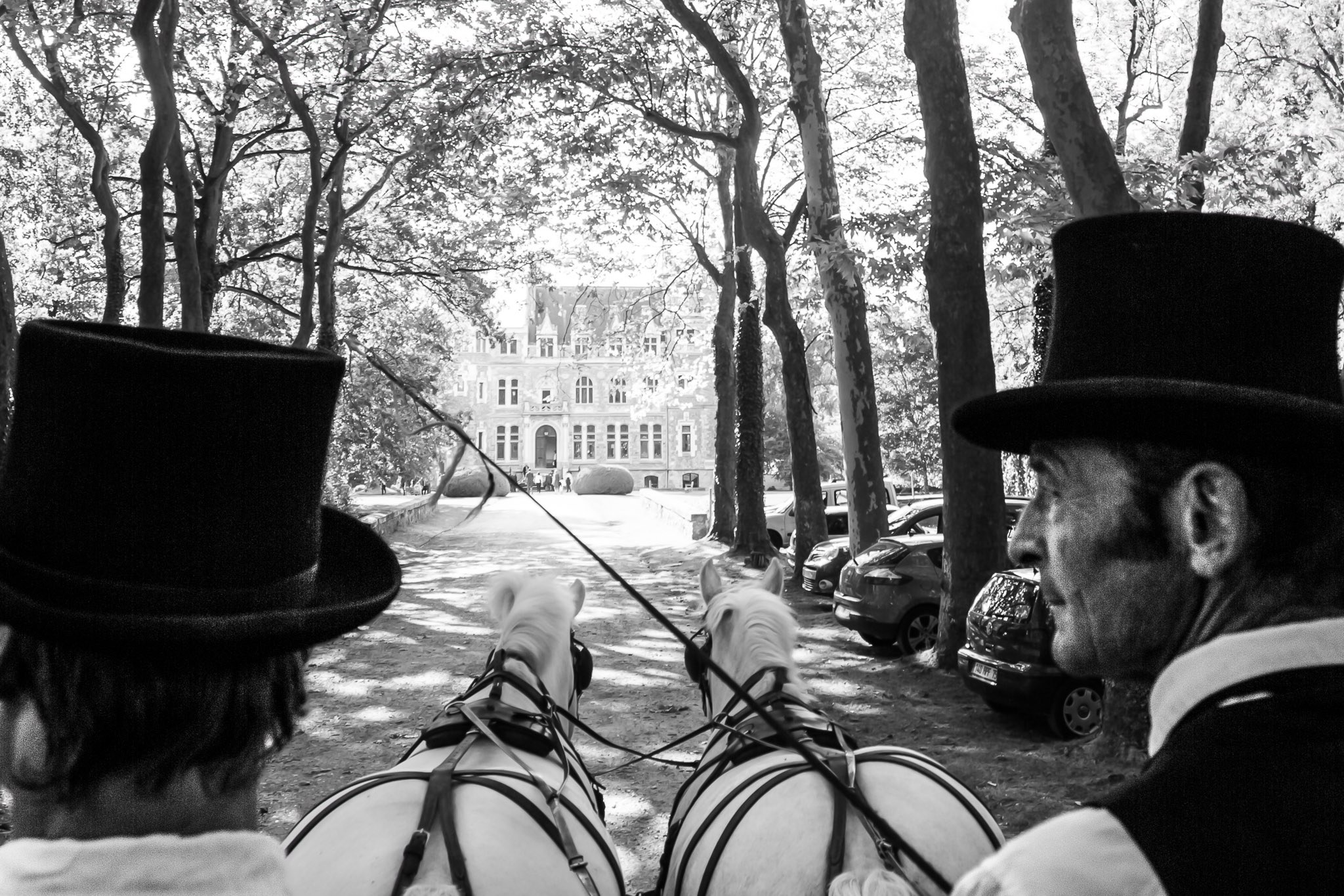 Horse-Drawn Carriage Arrival at Castle Wedding Venue