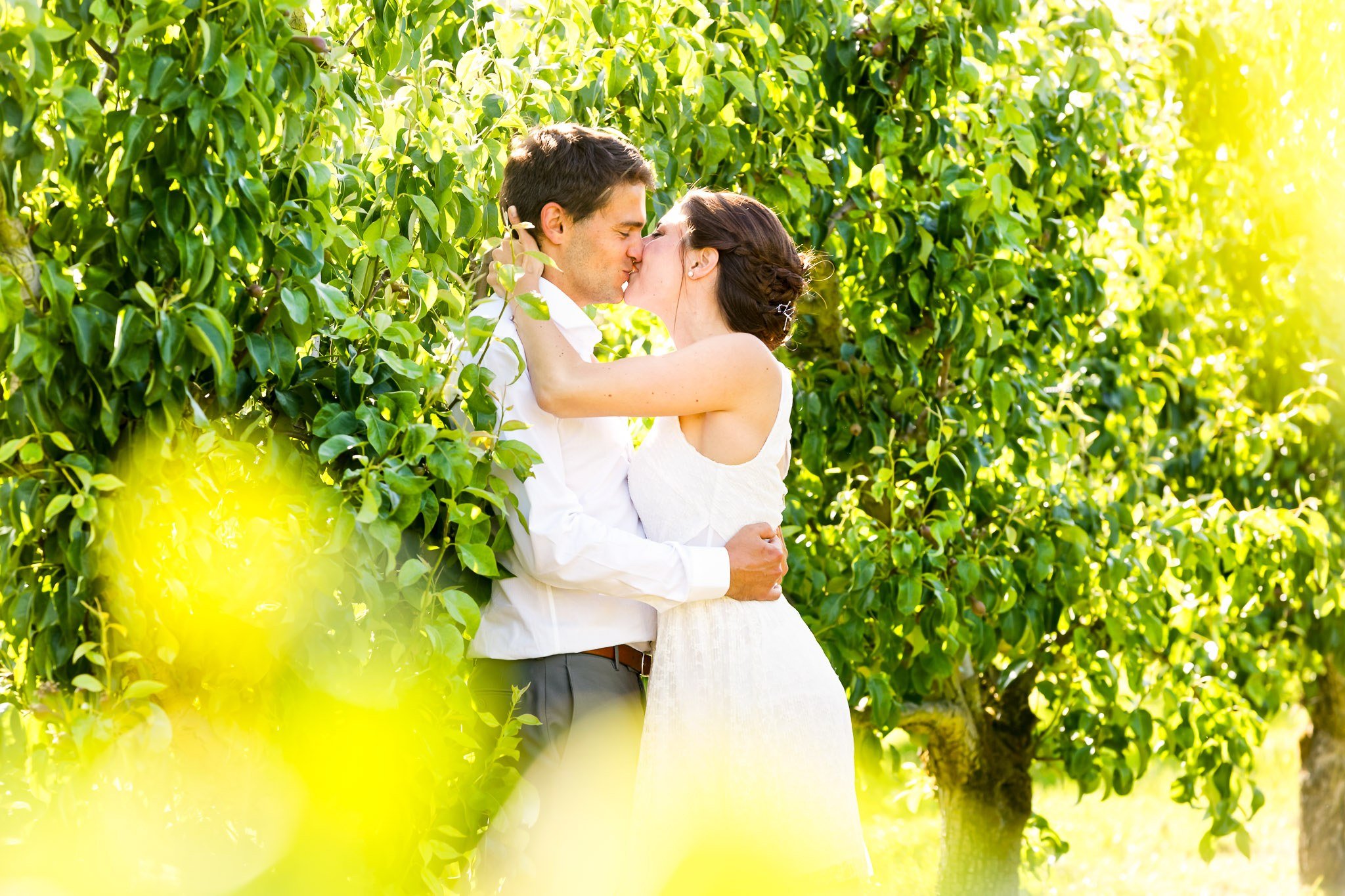 Romantic Orchard Wedding Portraits - Couple Kissing in Trees