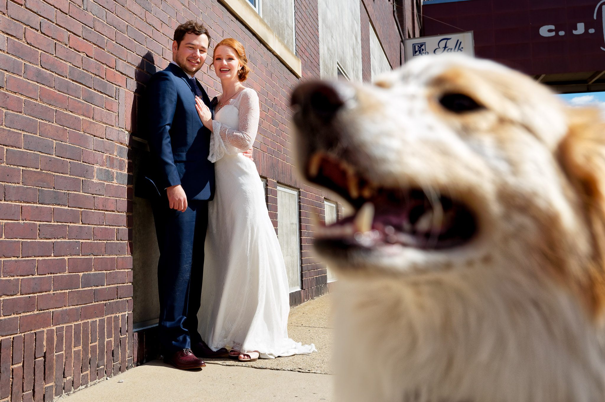 Bride, Groom and Dog Wedding Portrait - Canine Photobomb