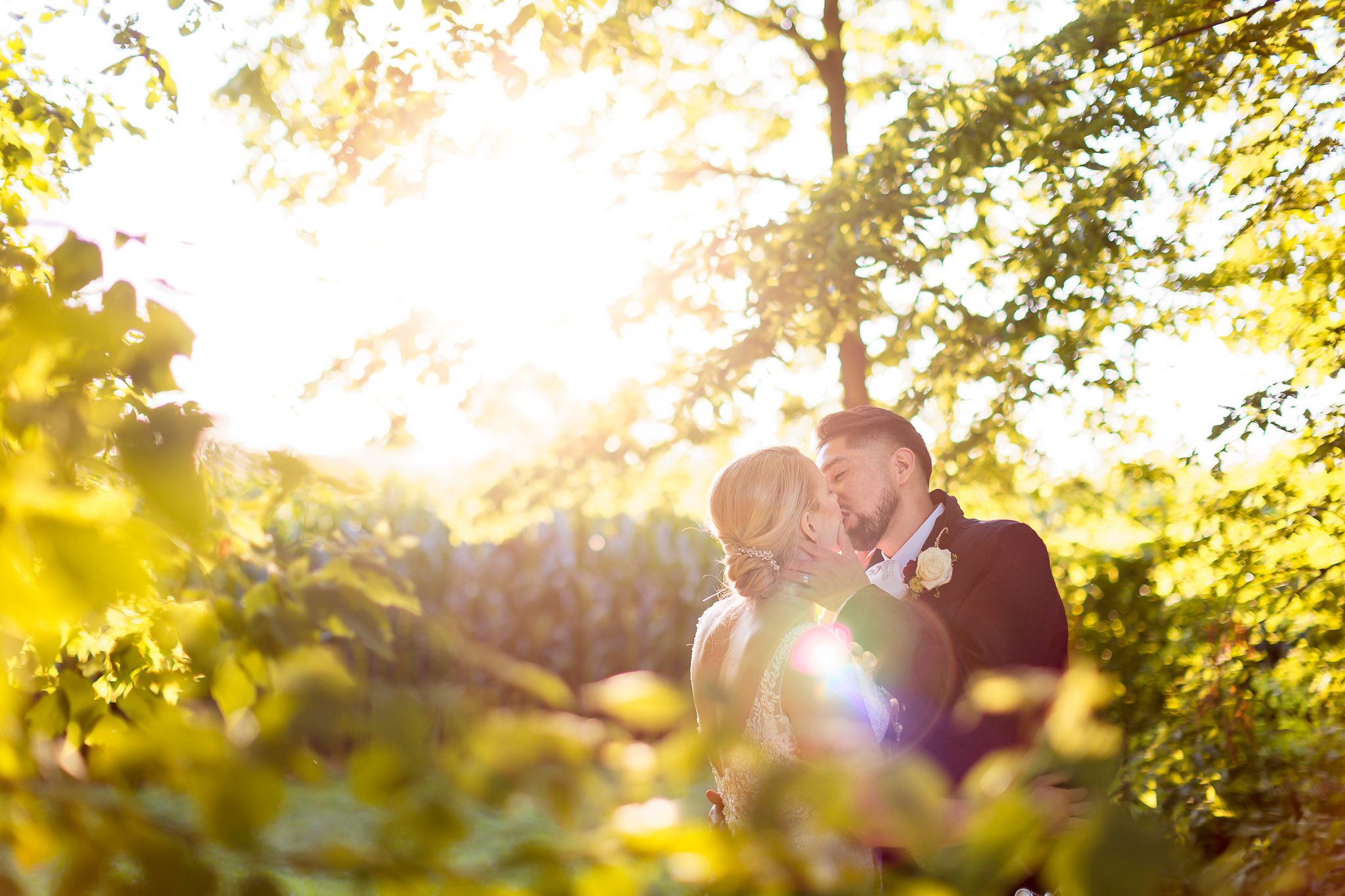 Romantic Tree-Lined Wedding Kiss in Minneapolis Golden Light