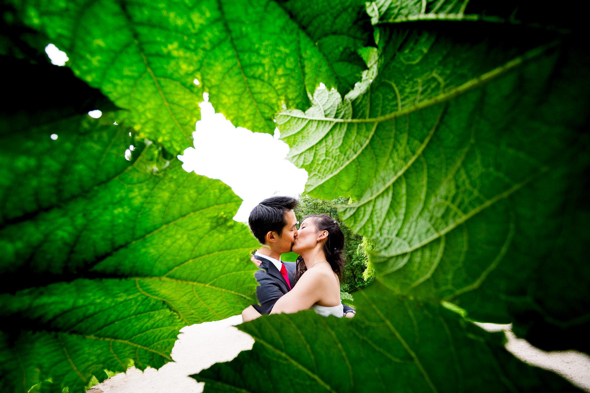 Romantic Wedding Kiss Through Green Leaf Frame