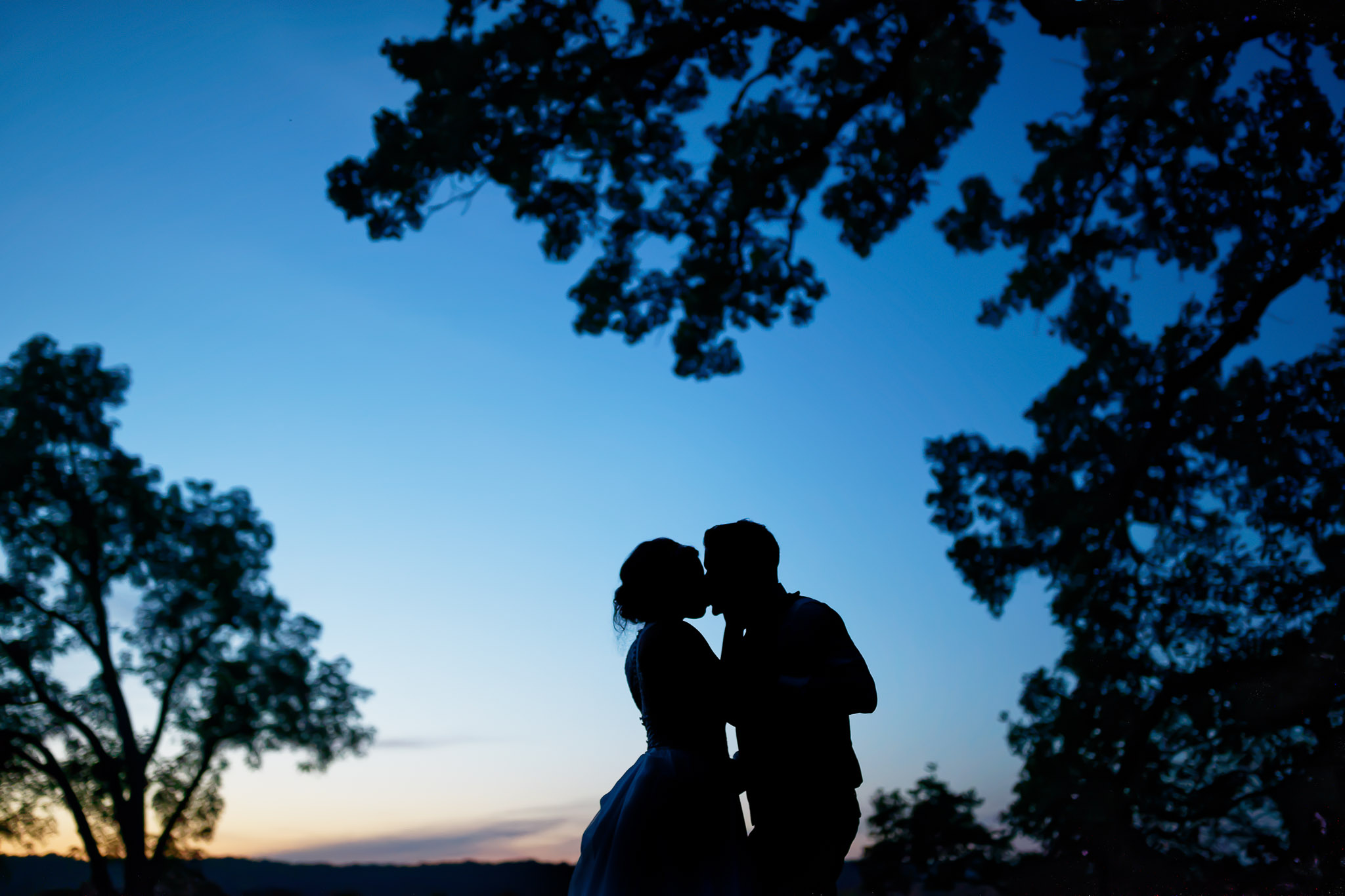 Blue Hour Wedding Silhouette at Mayowood Stone Barn Rochester