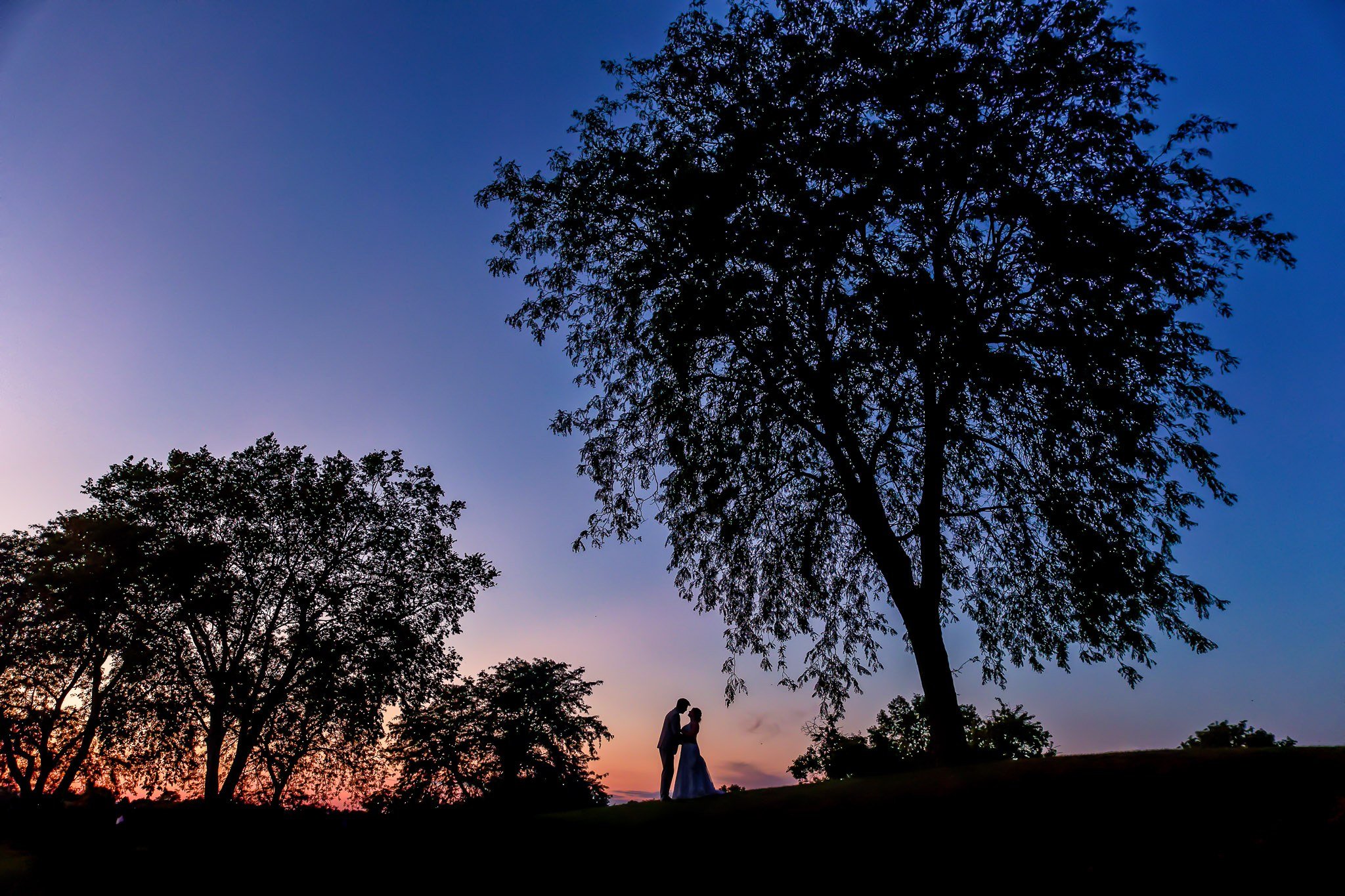 Sunset Silhouette Wedding Portrait Minneapolis Trees
