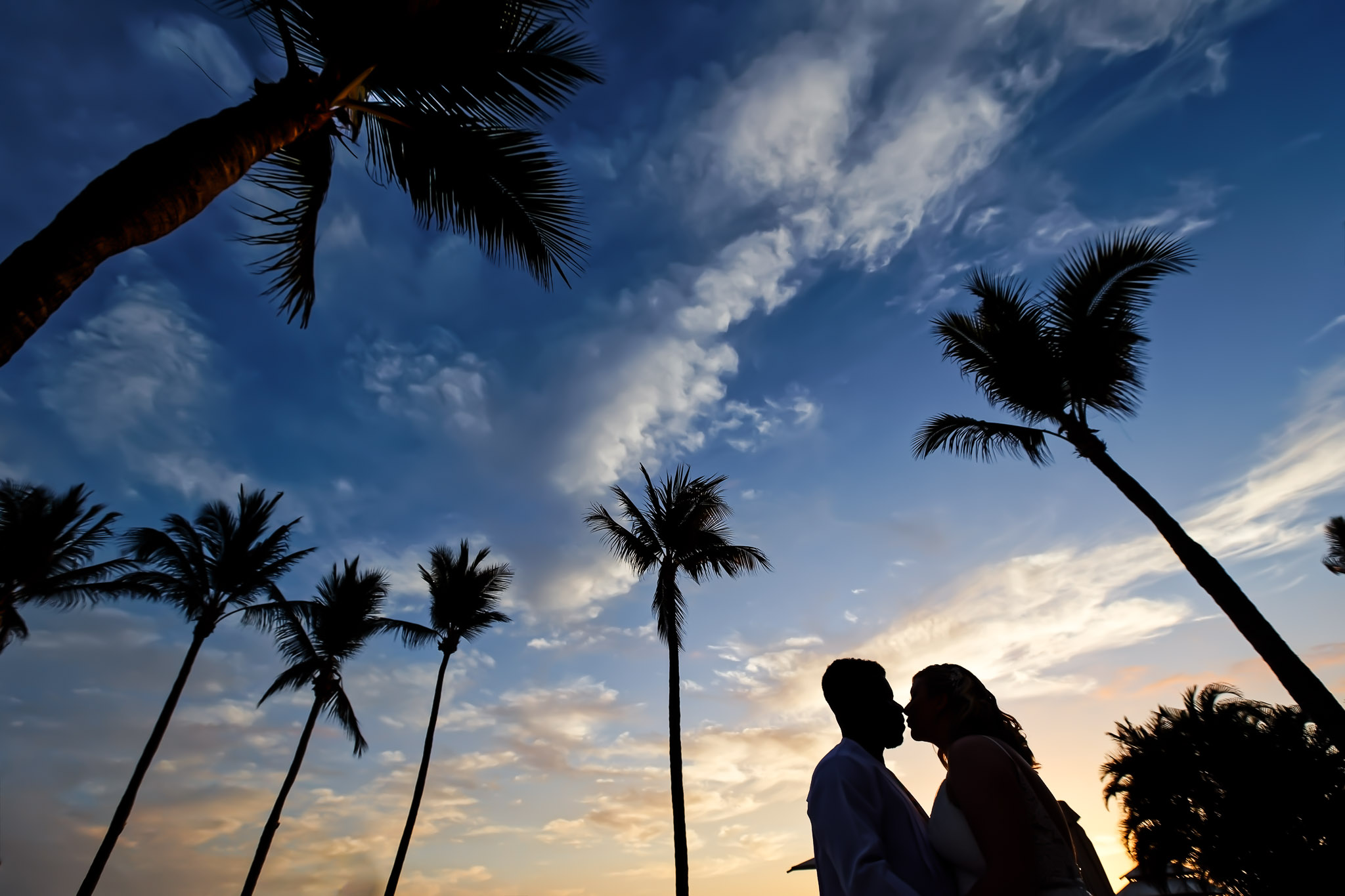 Sunset Wedding Silhouette with Palm Trees Puerto Vallarta