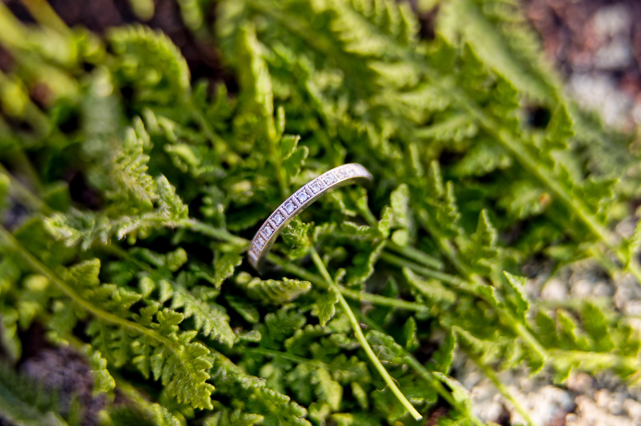 Diamond Wedding Ring on Ferns - Engagement Session Details