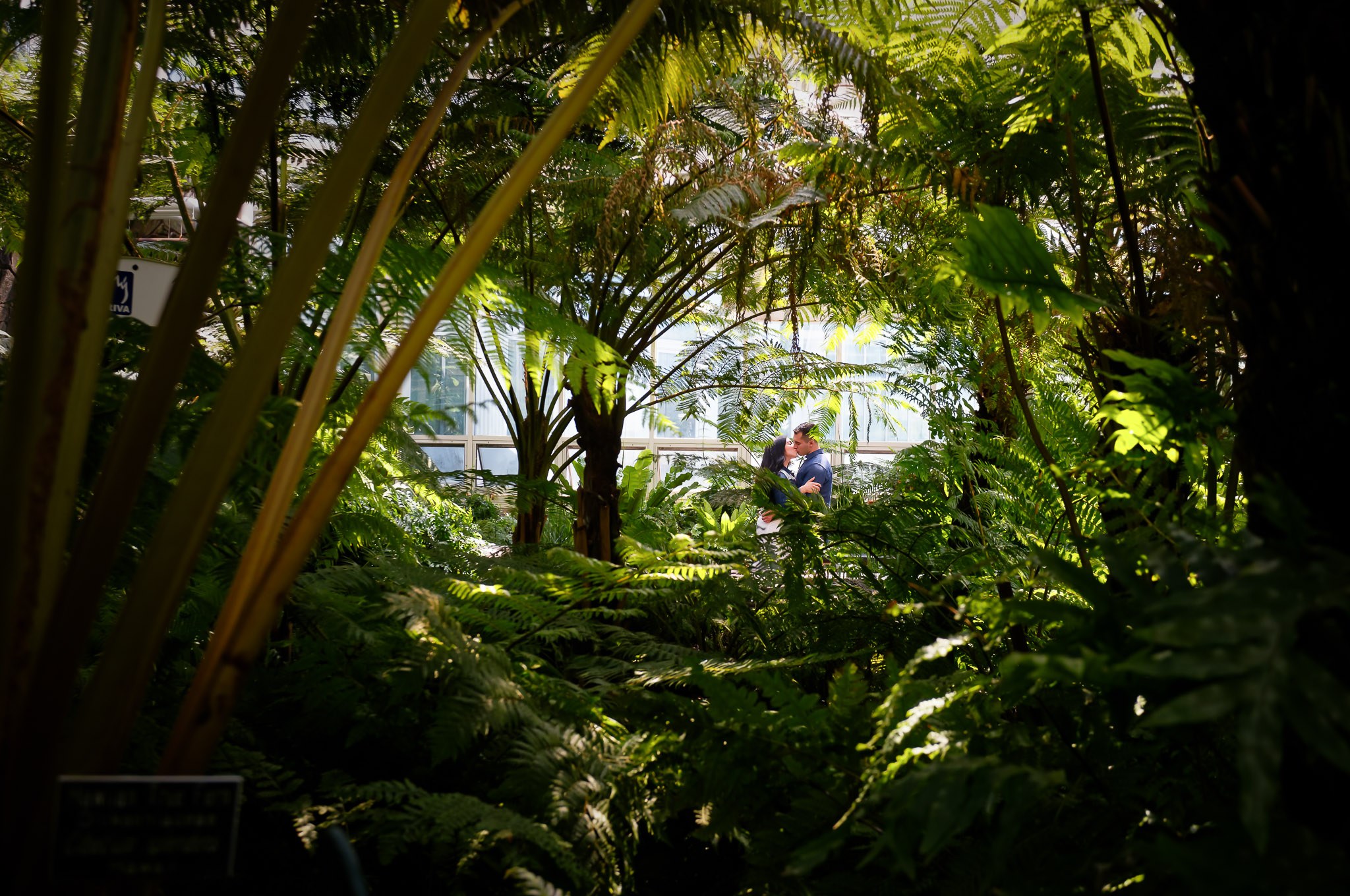 Tropical Garden Engagement Session with Natural Light