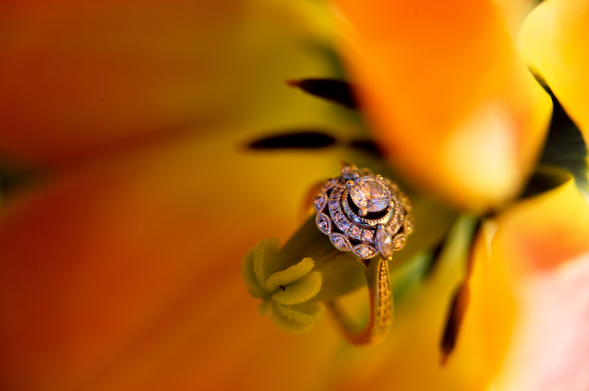 Diamond Halo Engagement Ring in Yellow Flowers Macro Detail