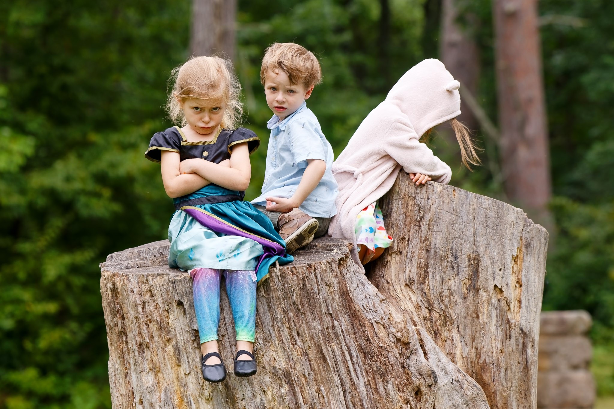 Kid Pouting on Tree Stump During St. Croix State Park Wedding