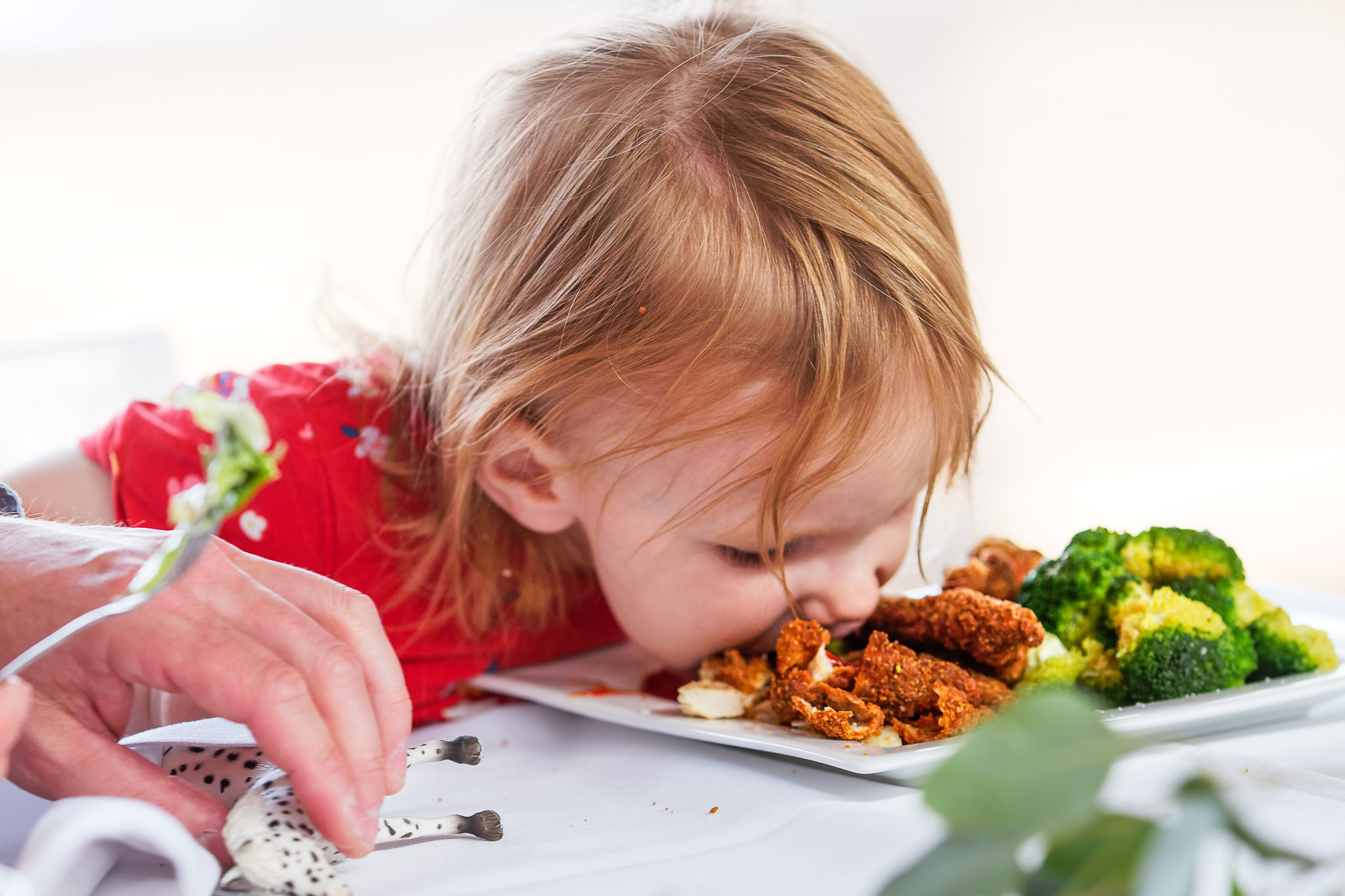 Kids Eating Dinner at Wedding Reception - Family Celebration