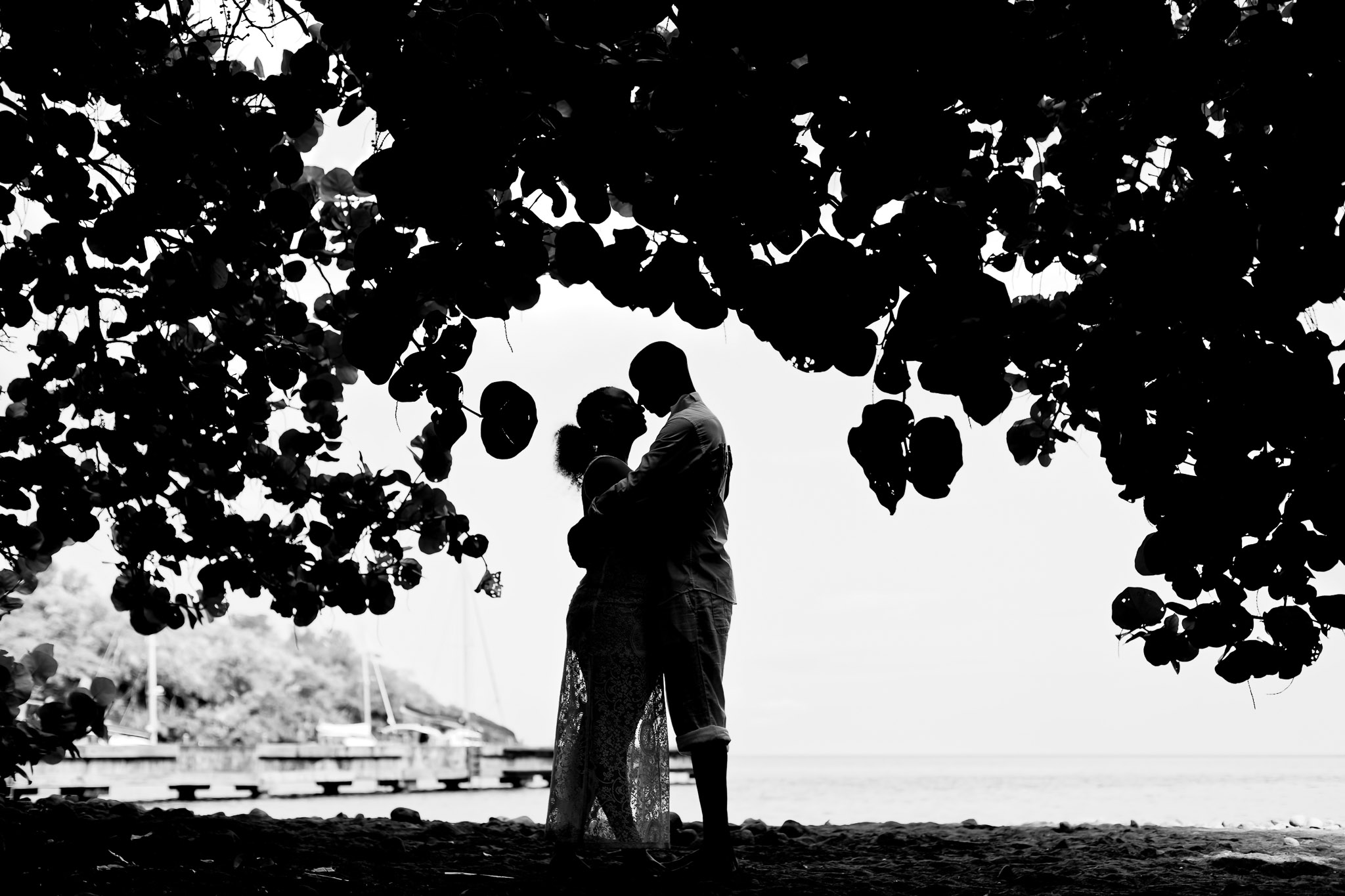Black and White Trash the Dress Beach Portrait Under Vines