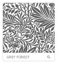 grey-forest