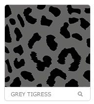 grey-tigress