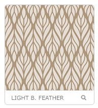 light-brown-feather