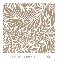 light-brown-forest