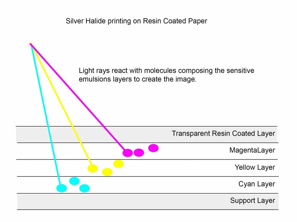 What Is Silver Halide? Understanding The Silver Halide Printing Process